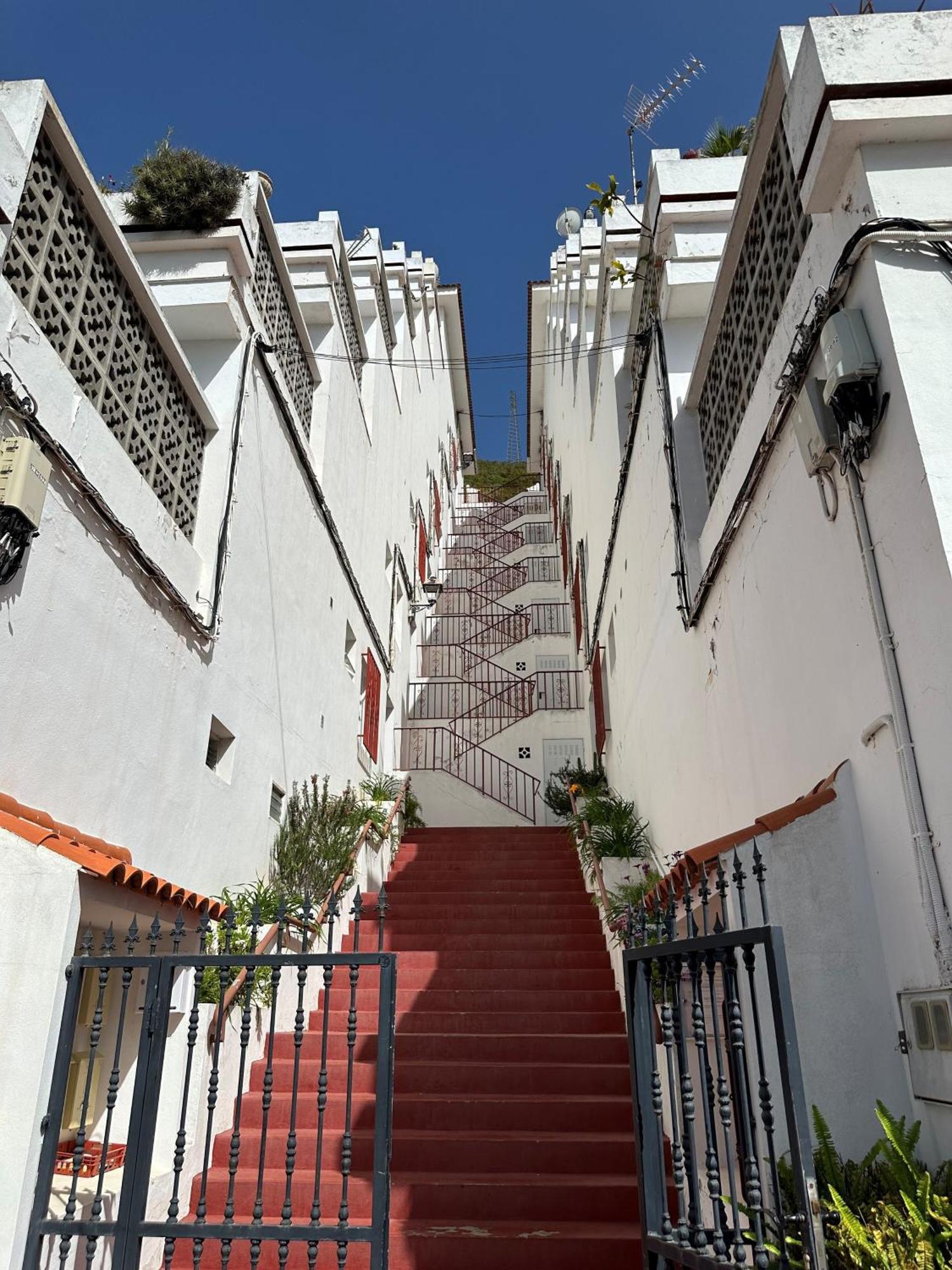 Panorama Apartment