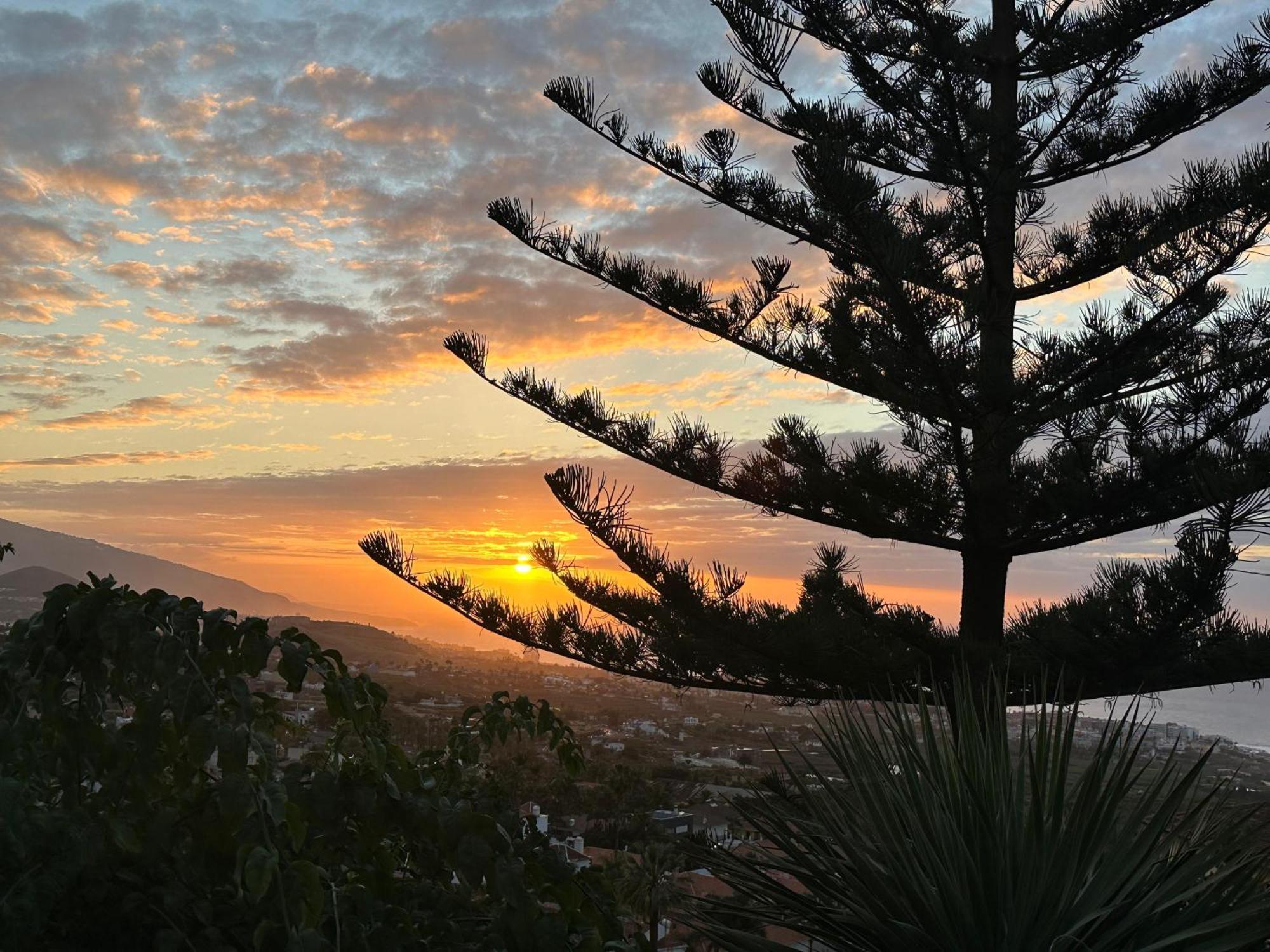 Panorama * La Orotava